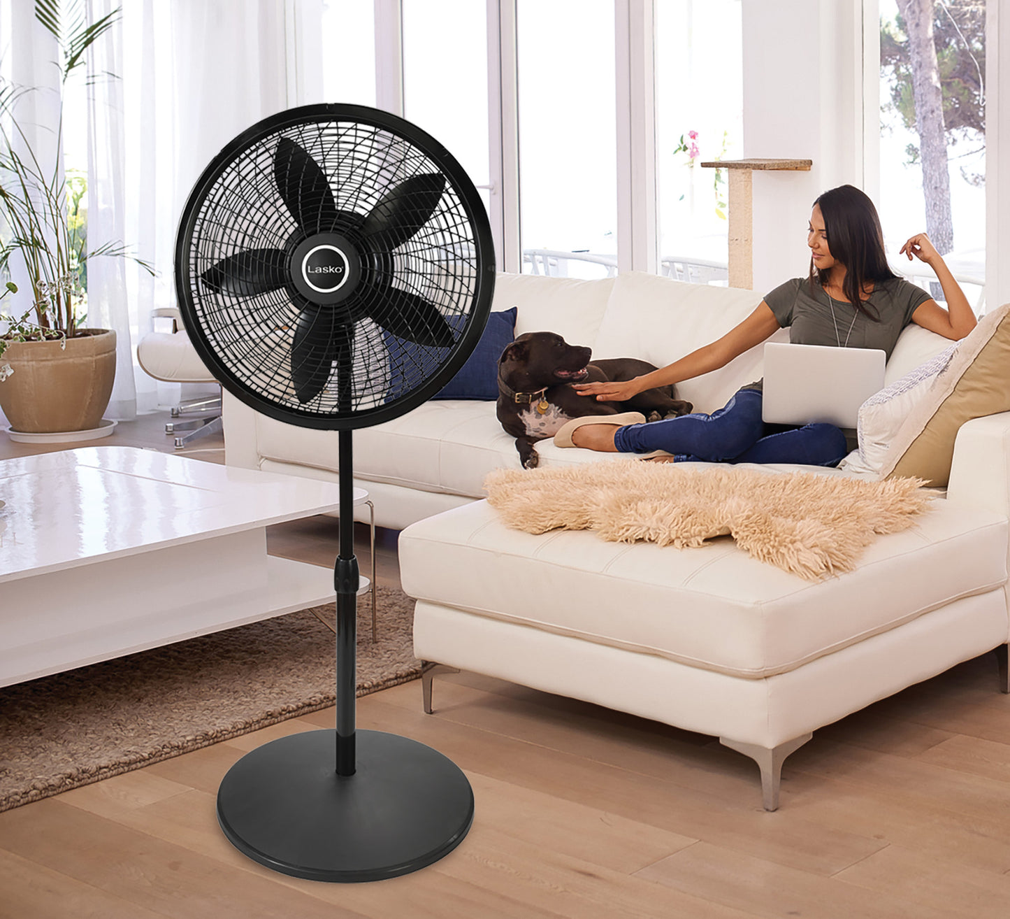 Lasko Cyclone® 18" 3-speed Pedestal Fan (black, model 1823)