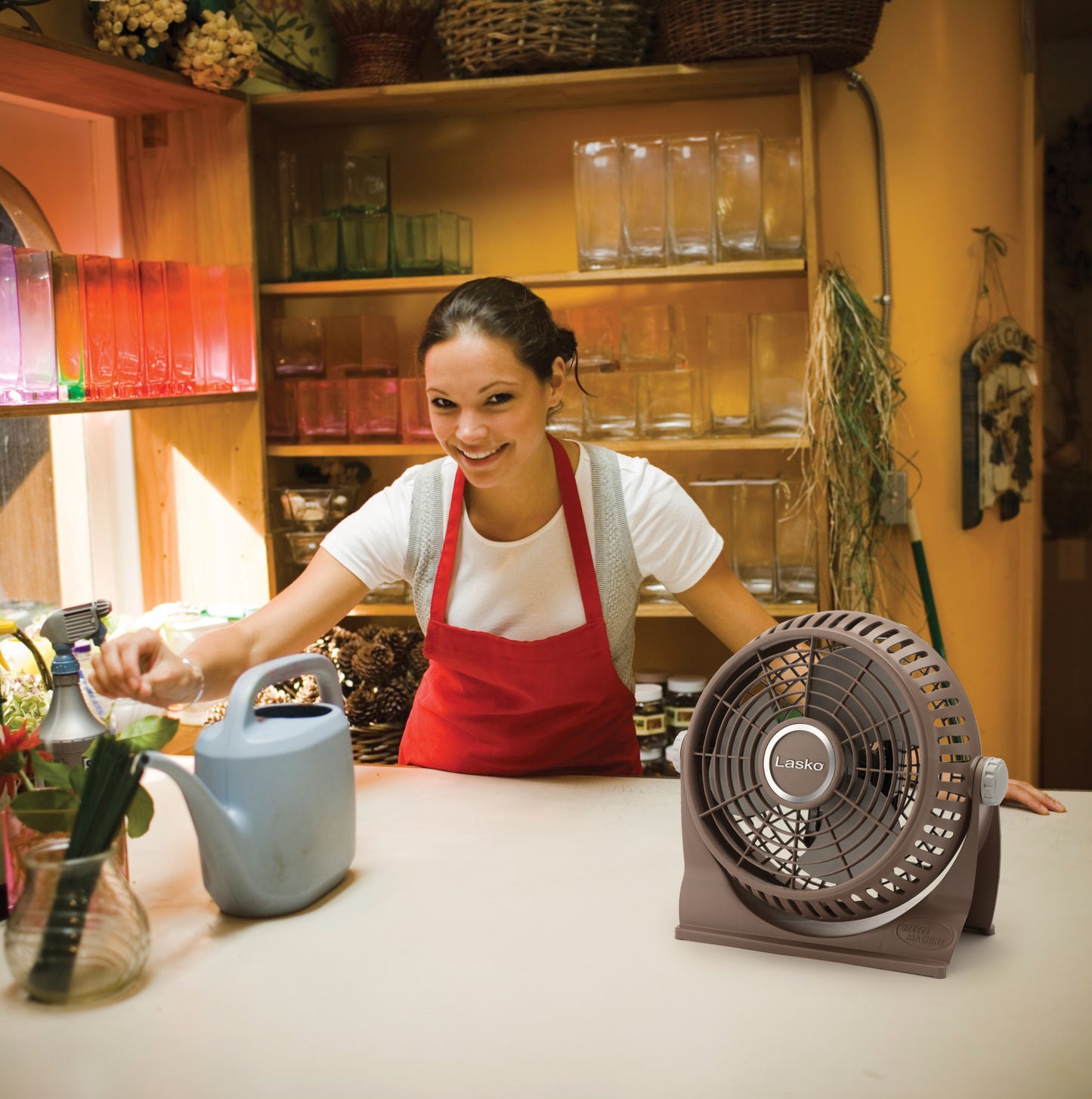Lasko Breeze Machine 8" Desk Fan: 2-Speed, Pivoting, Bronze