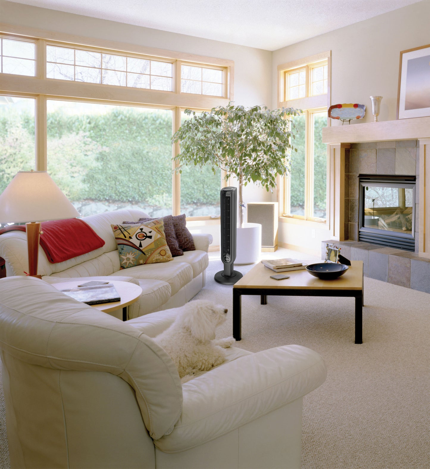 Lasko 3- Speed Oscillating Tower Fan with Timer and Remote, T36211, Black