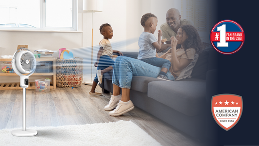 An American Company since 1906: Lasko