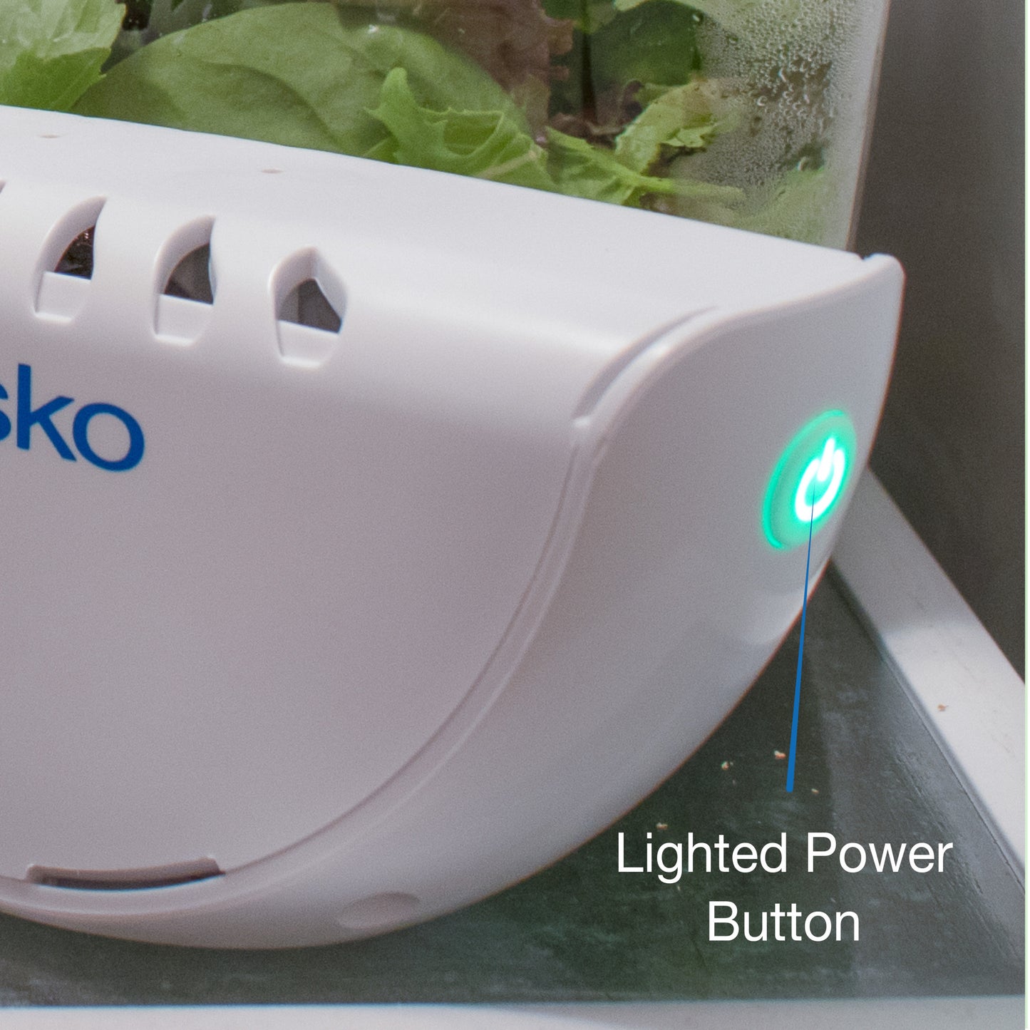 Fresh Slice Fridge Air Freshener