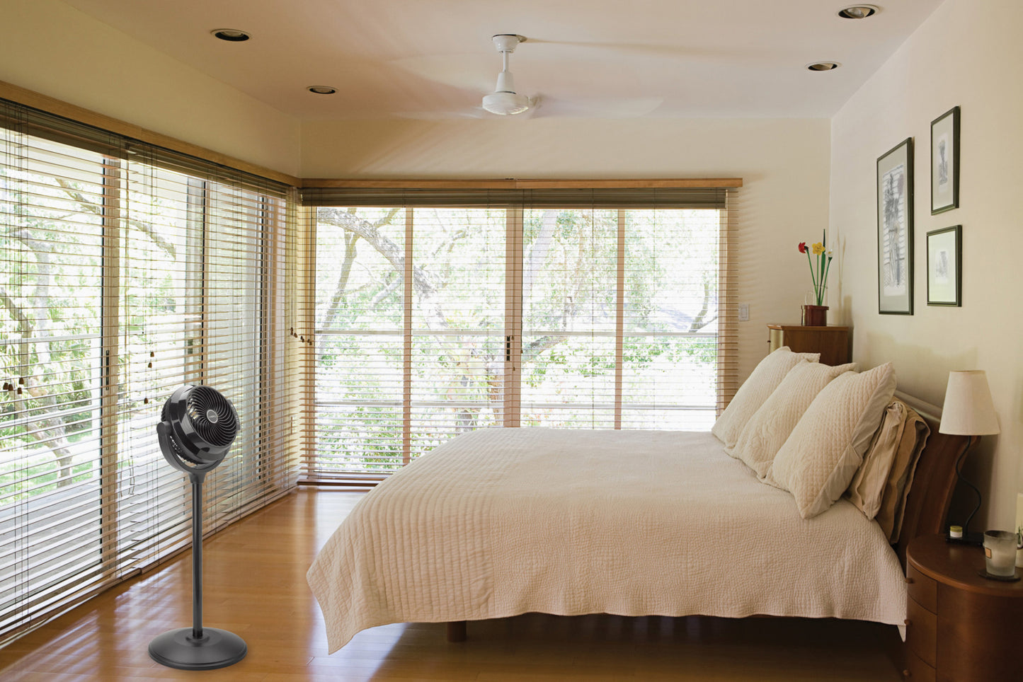 Lasko 34" Compact Power Pedestal Fan with Timer, S08590, Black