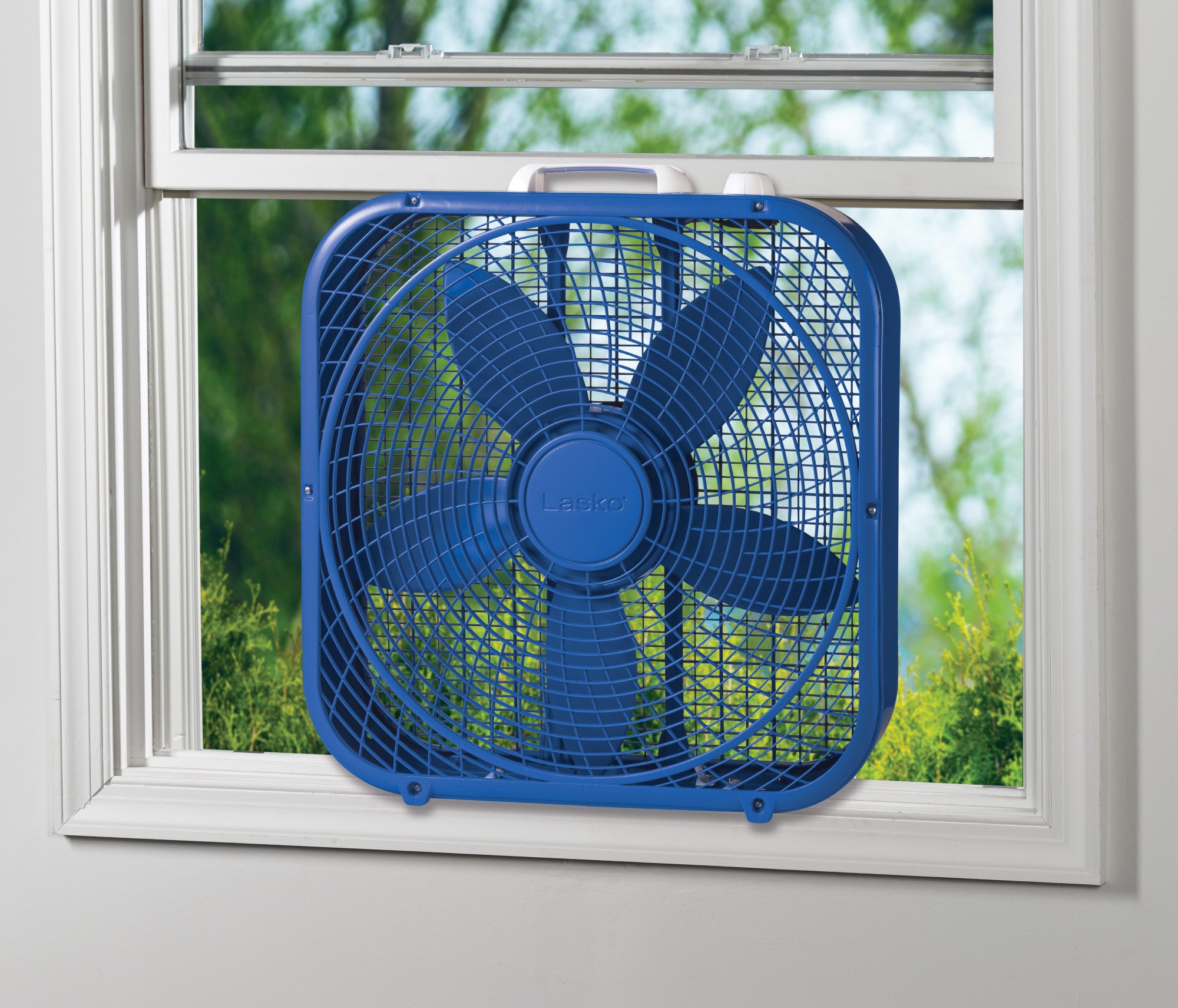 Lasko Cool Colors 20