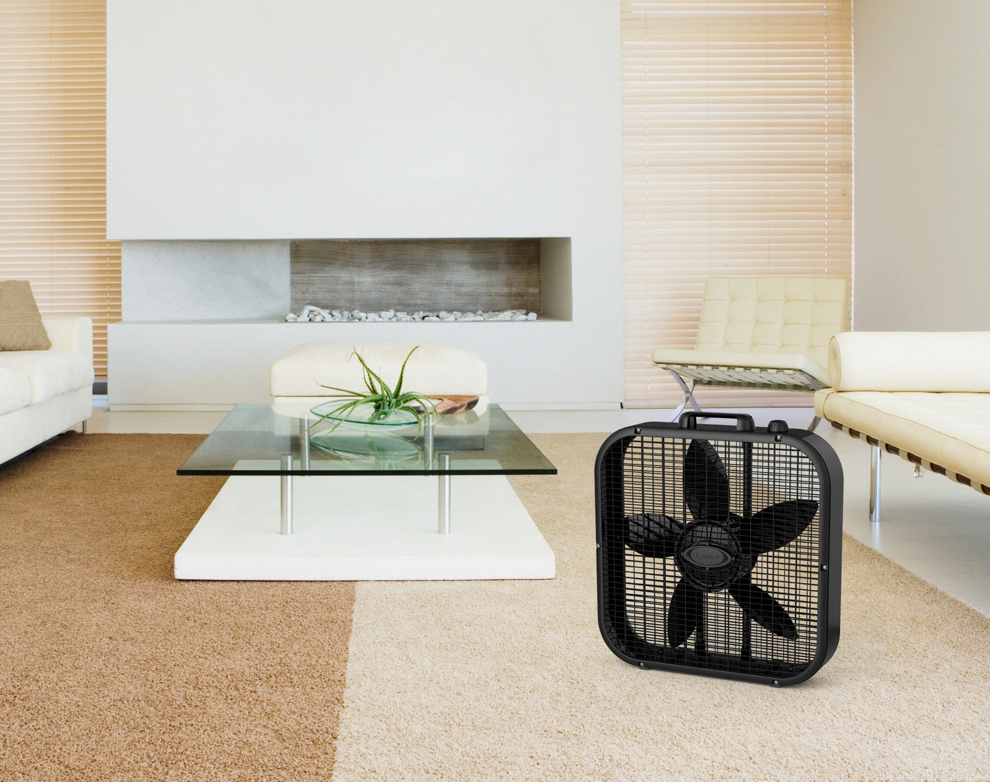 Lasko 20" 3-Speed Decor Colors Box Fan, B20401, Black