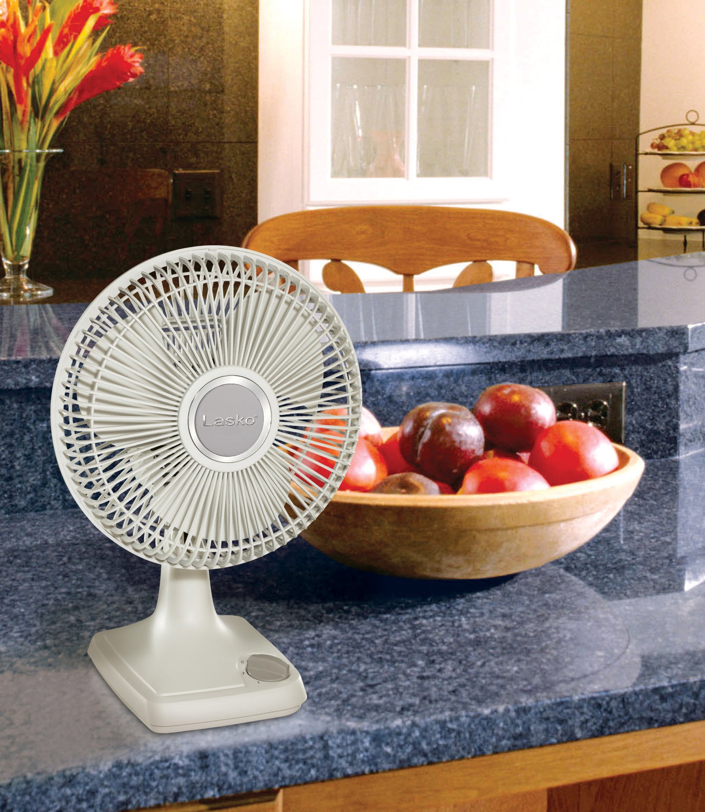 Lasko 9" 2-Speed Oscillating Table Fan, 2009, White