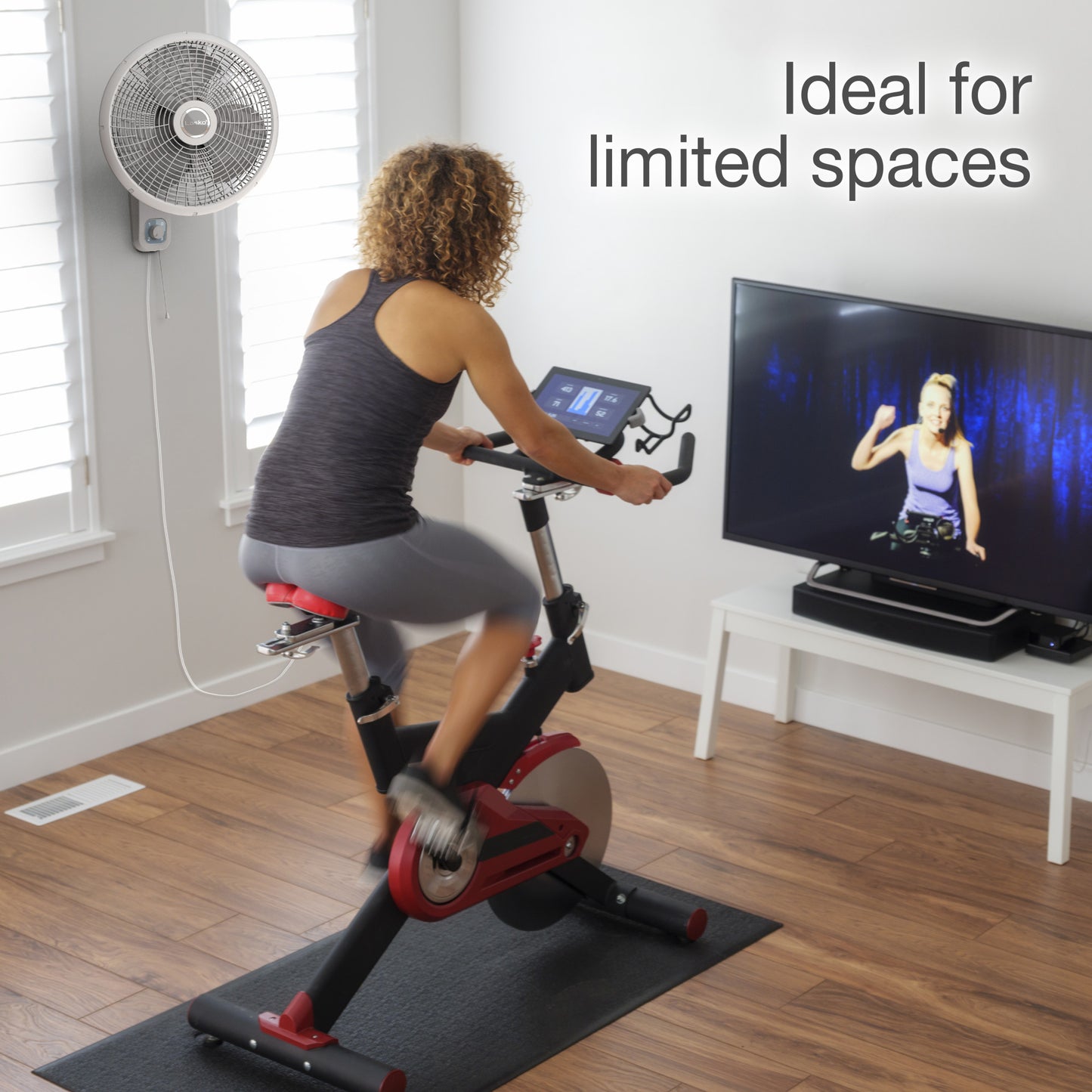 Lasko M16900 16" 3-Speed Oscillating Wall Mount Fan