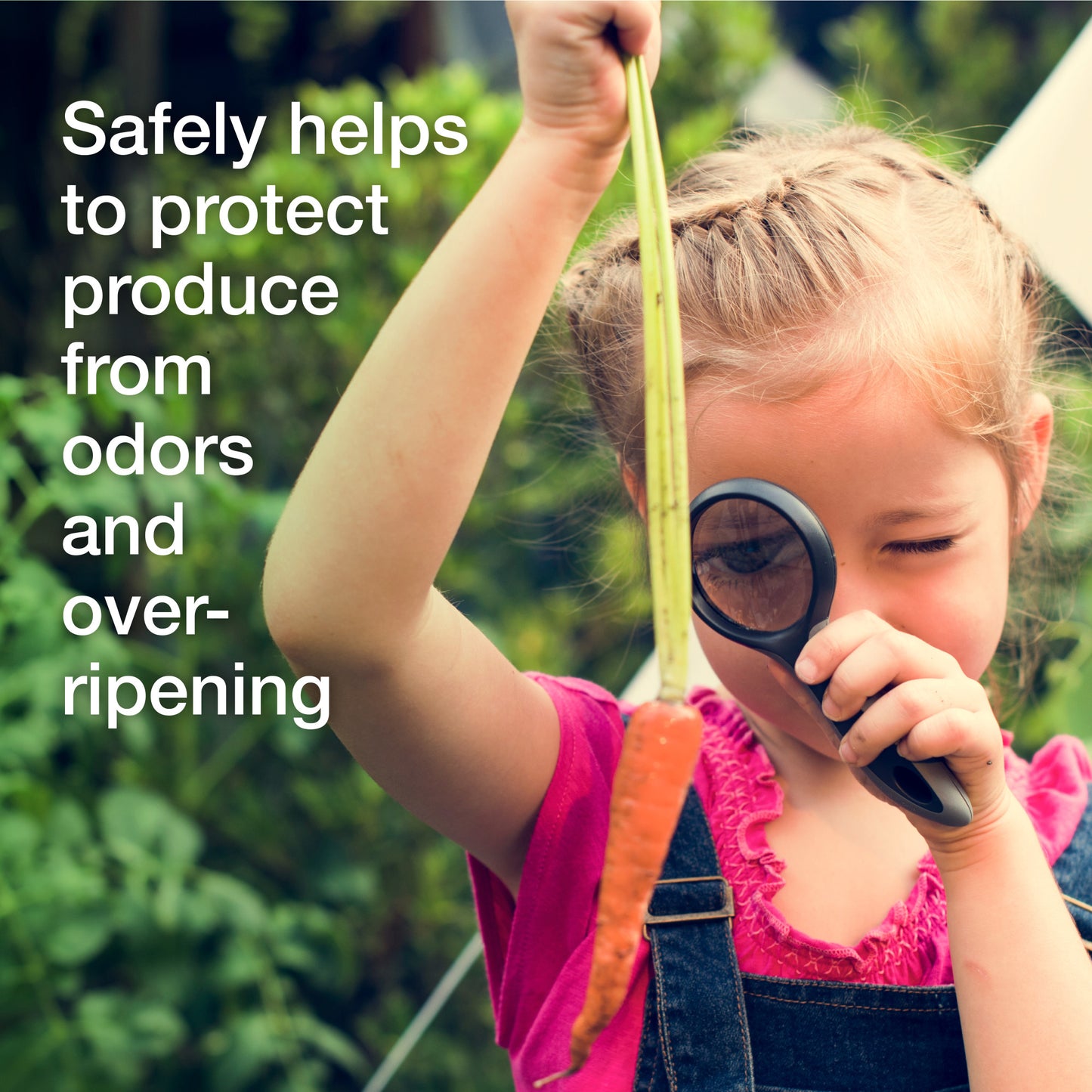 Fresh Slice Fridge Air Freshener