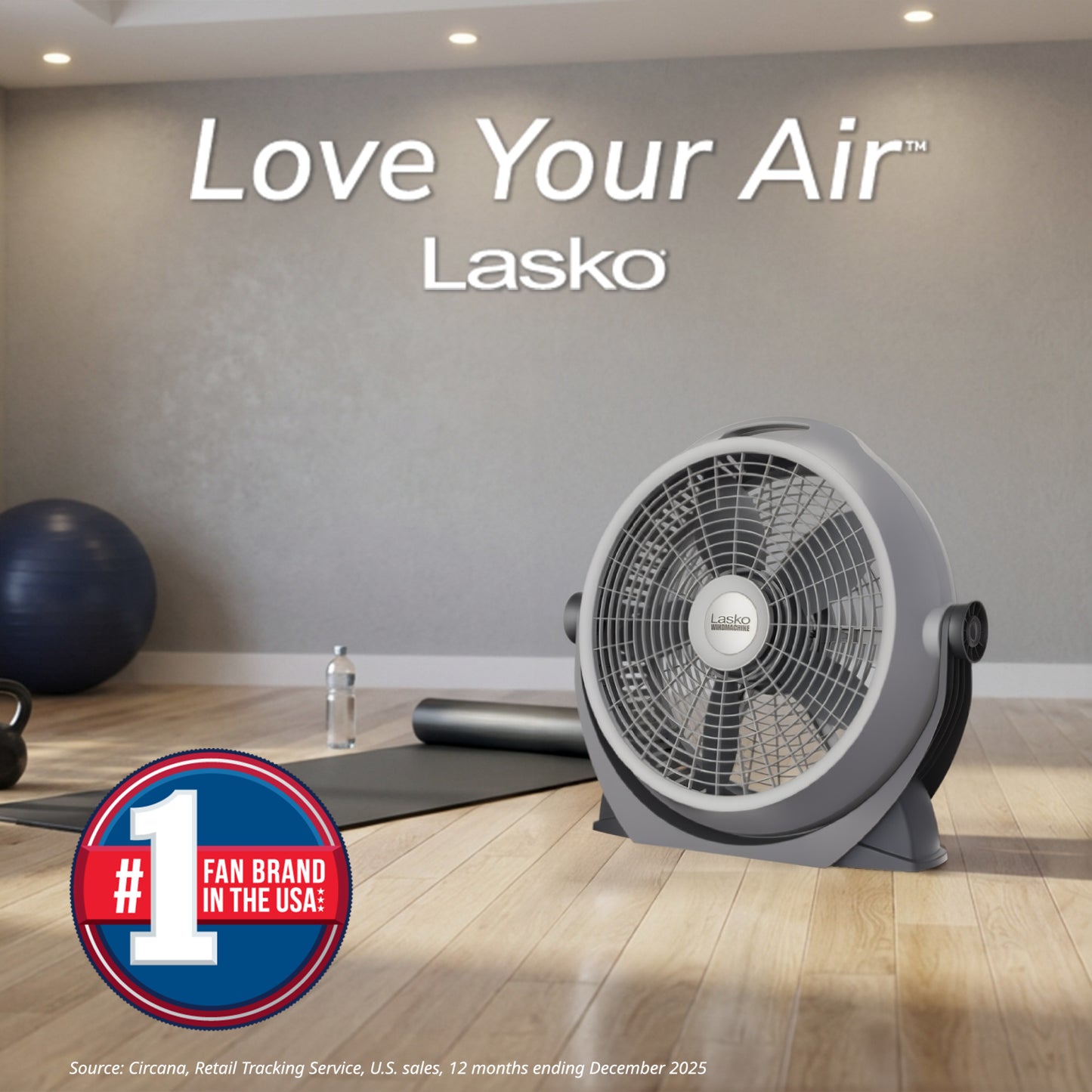 Lasko Wind Machine® A20304 20" Pivoting 3-Speed Air Circulator Fan: Gray