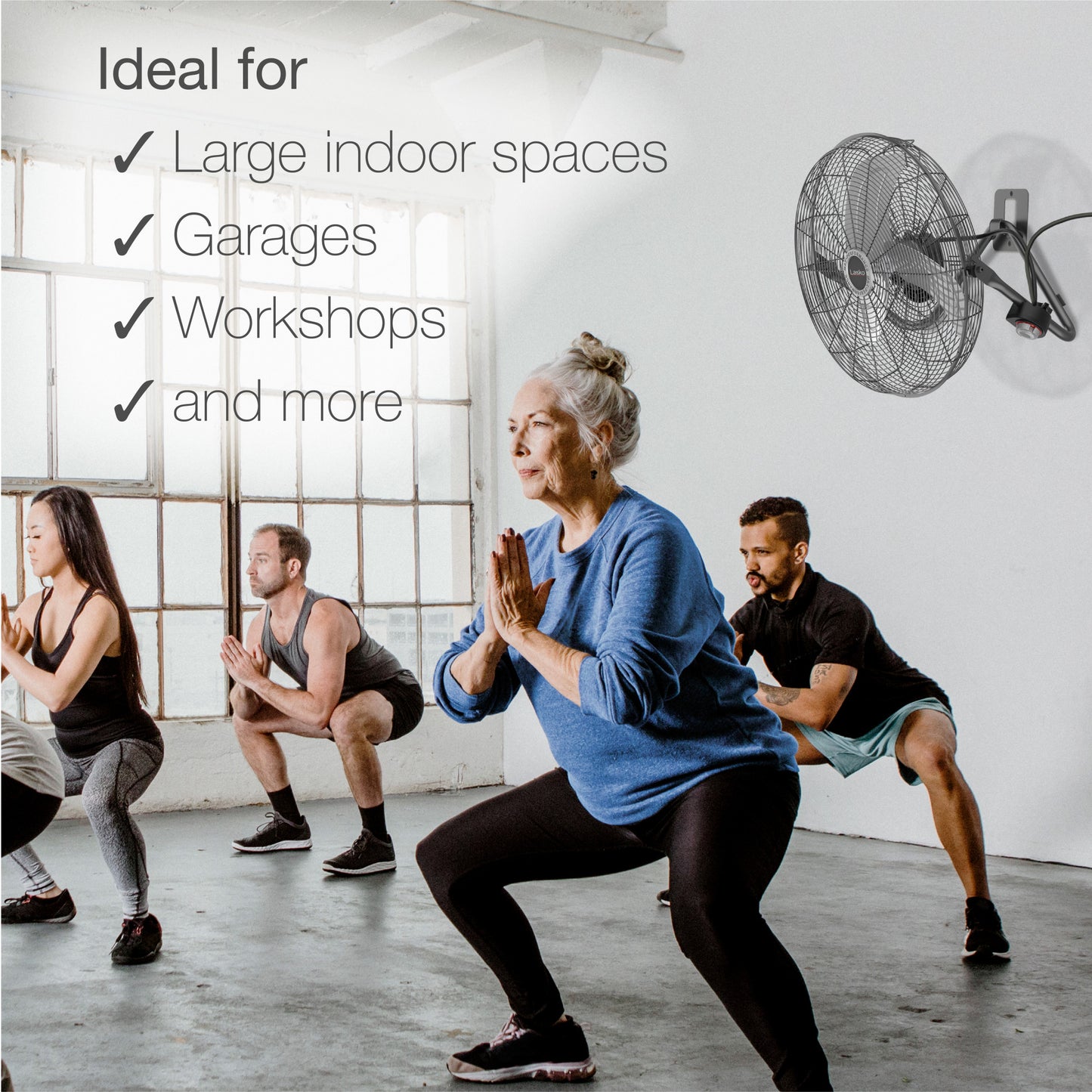 Lasko H20310 20" High Velocity Floor & Wall Mount Fan